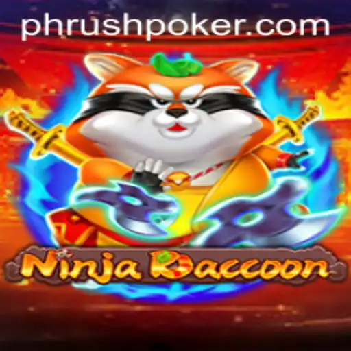 NinjaRaccoon: The New Gaming Sensation